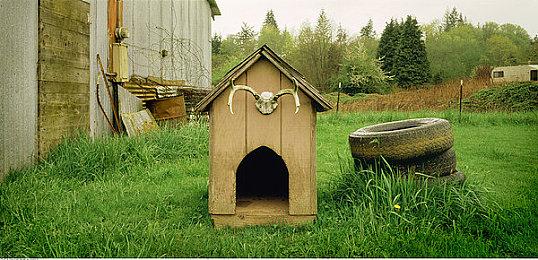 前开发者称《光环》新作正在开发中 或使用虚幻引擎5